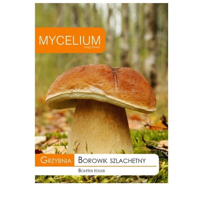 Borowik szlachetny grzybnia ziarno 10g
