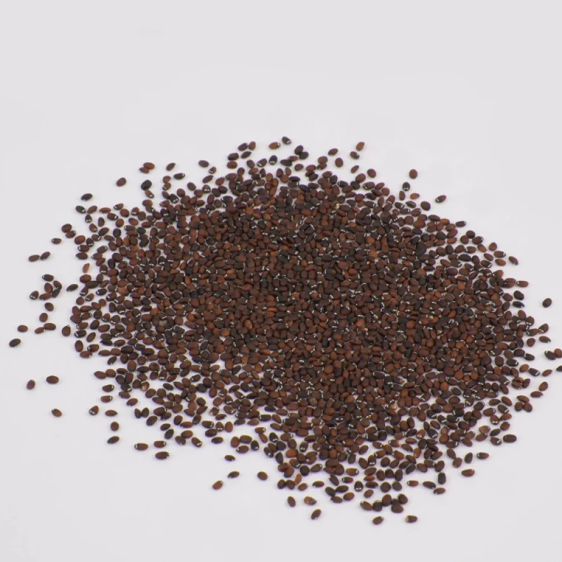 kocimietka-wlasciwa-nasiona-50g-2.webp