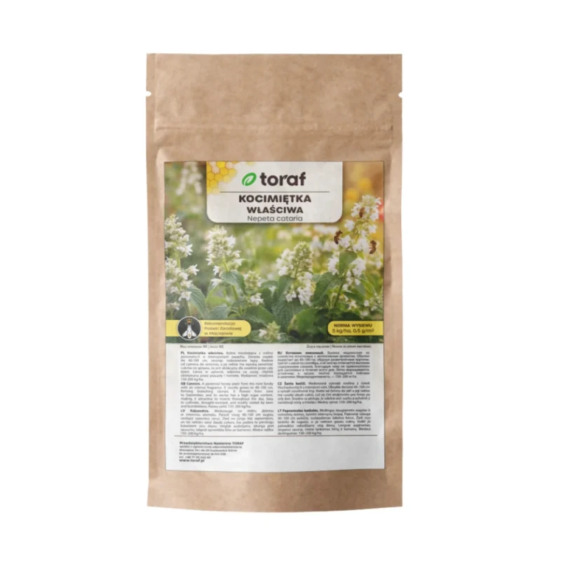 kocimietka-wlasciwa-nasiona-50g-1.webp