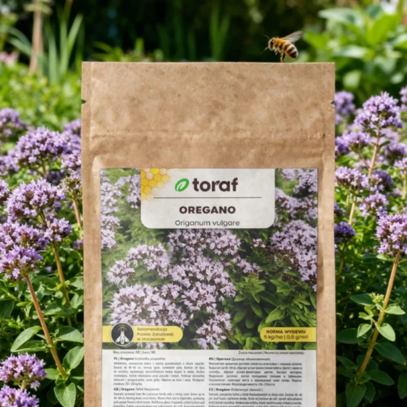 oregano-lebiodka-pospolita-4.webp