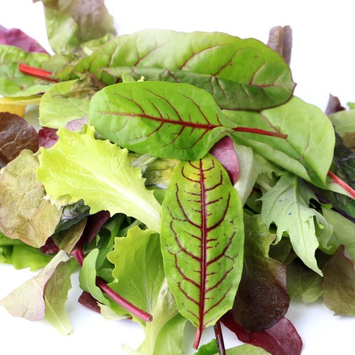 Baby Leaf Mieszanka Fantazyjna nasiona 15g