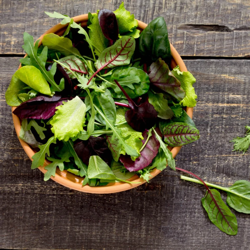 Baby Leaf Mieszanka Fitness nasiona (2).jpg