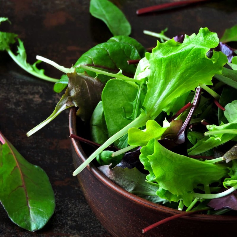 Baby Leaf Endywia MIX nasiona.jpg