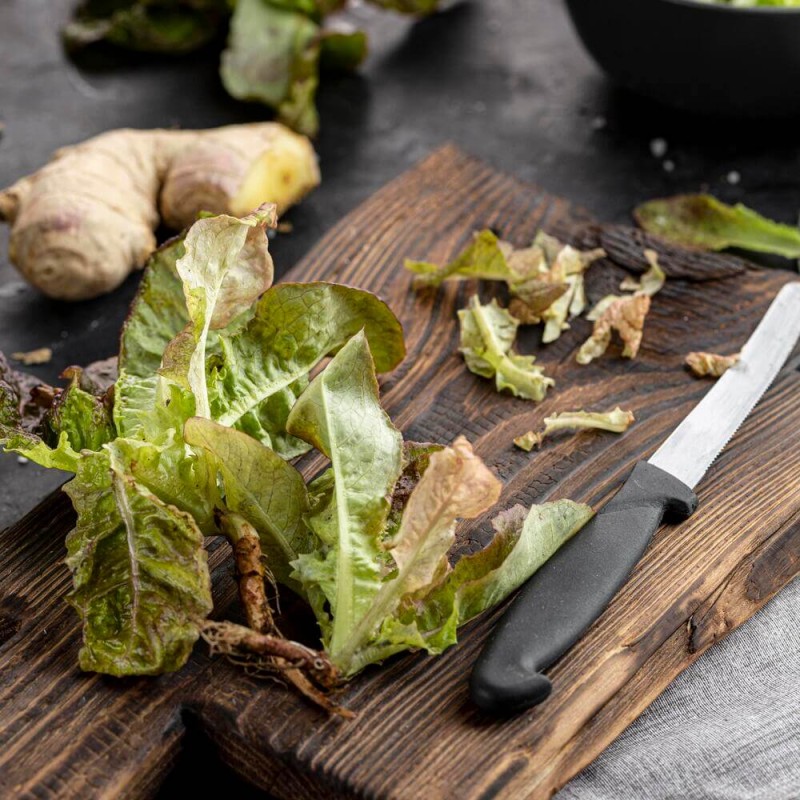 Baby Leaf Portulaka Warzywna nasiona.jpg