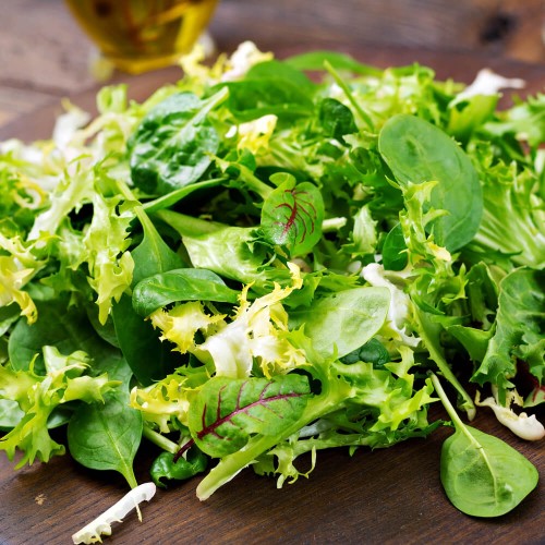 Baby Leaf Sałata liściowa Lollo Bionda nasiona 15g