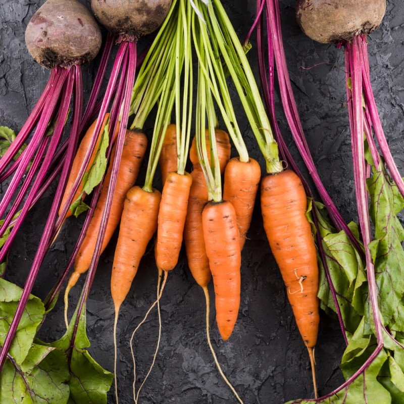 Marchew FLAKKESE 2 Późna nasiona XXL 500g (2).jpg