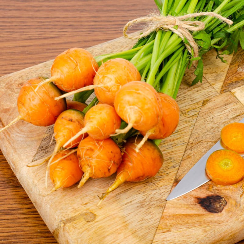 Marchew okrągła PARISER MARKT 4 Bardzo Wczesna nasiona (3).jpg