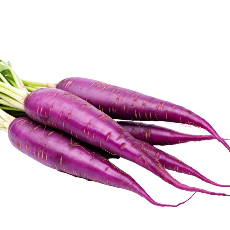 Marchew Fioletowa DEEP PURPLE F1 Średnio Późna nasiona (1).jpg