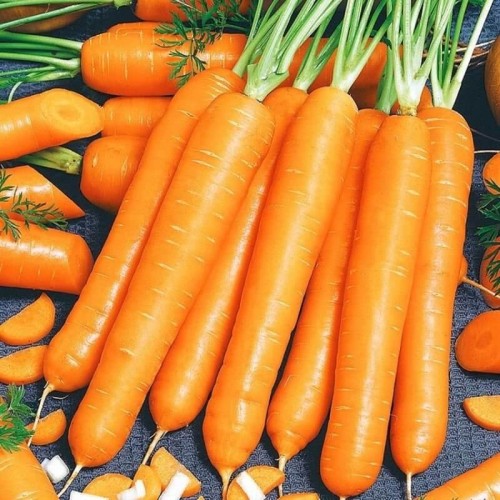 Marchew NANTES 3 - Nantejska średnio wczesna nasiona 4g + 1g gratis