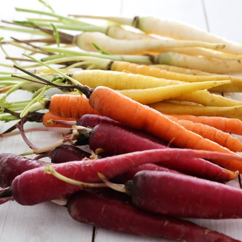 Marchew Rainbow F1 - Tęczowe marchewki Wesoły ogródek nasiona 0,25g