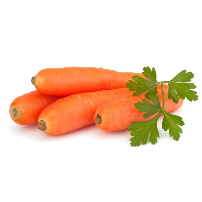 Marchew PIERWSZY ZBIÓR Wczesna  nasiona XXL 500g (2)