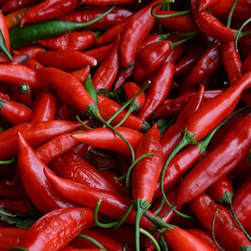 Papryka półostra ROKITA wczesna nasiona (1).jpg