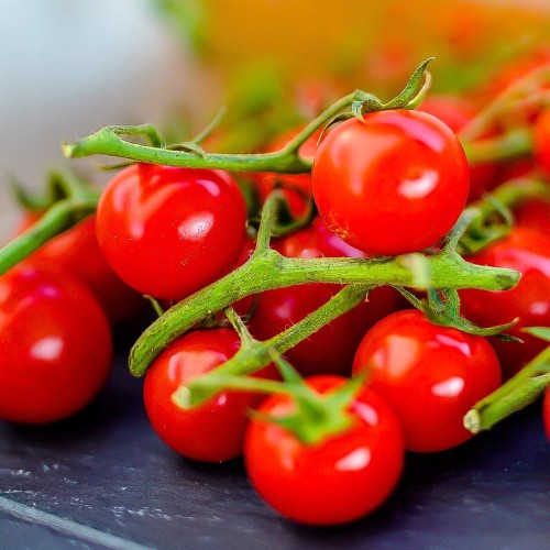 Pomidor koktajlowy BAJAJA nasiona 0,3g