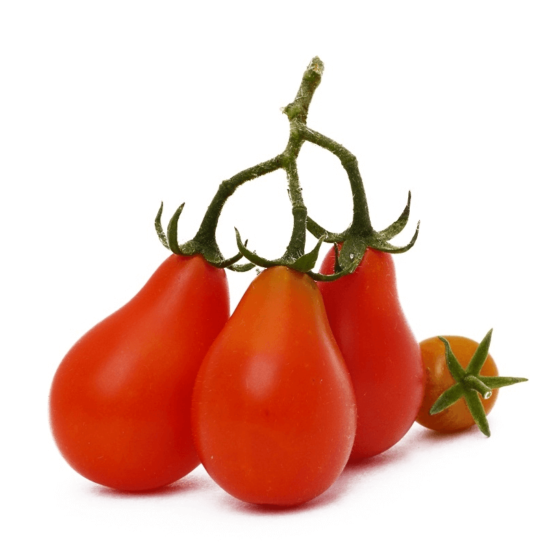 Pomidor DENAR nasiona (1).png