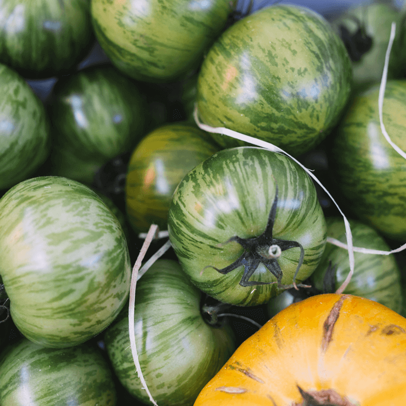 Pomidor zielony w paski GREEN ZEBRA nasiona (3).png