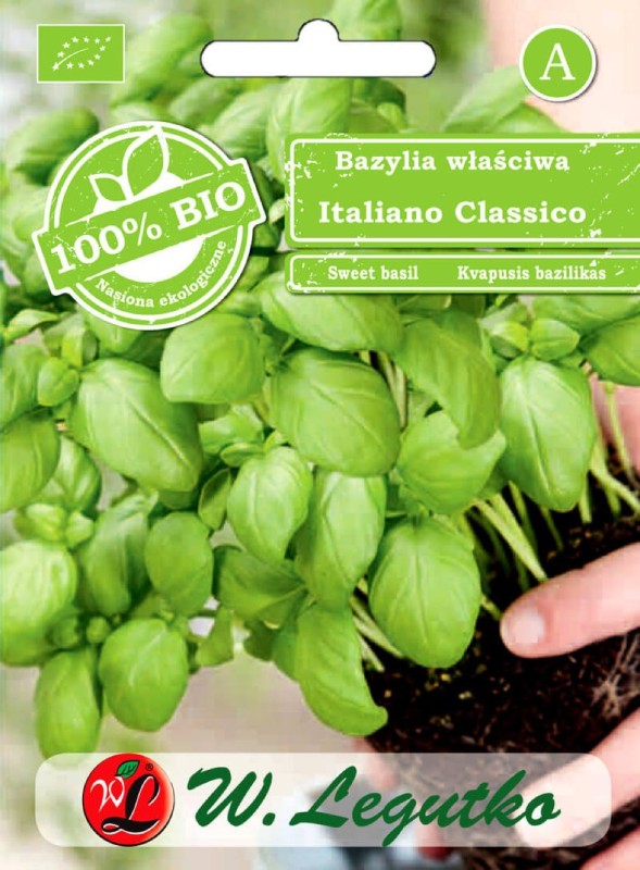 ekologiczne nasiona bazylia.jpg