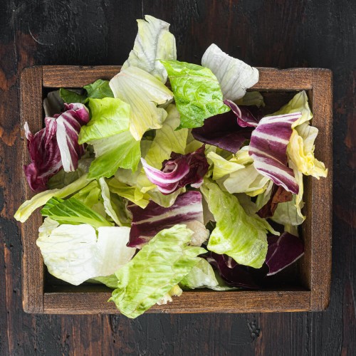 Sałata Lodowa REGINA ICE QUEEN średnio późna nasiona 1g