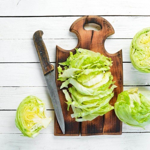 Sałata Lodowa VANGUARD 75 Krucha Późna nasiona 0,5g