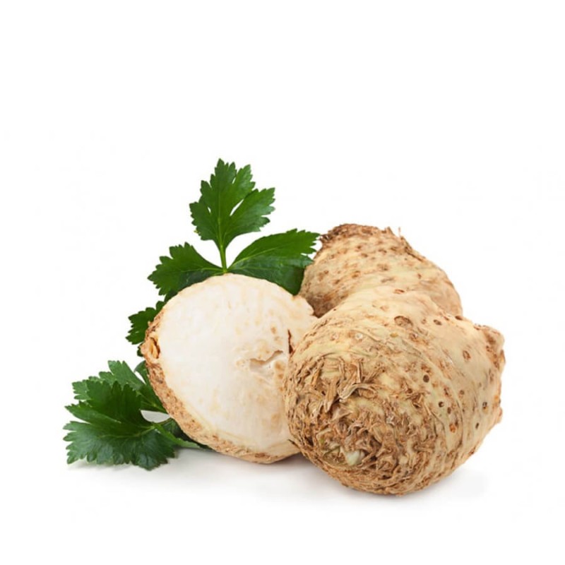 Seler korzeniowy Makar (4).jpg