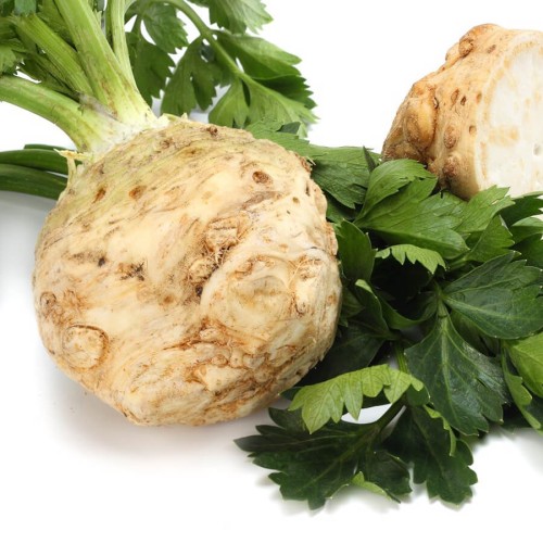 Seler korzeniowy MAKAR nasiona 1g