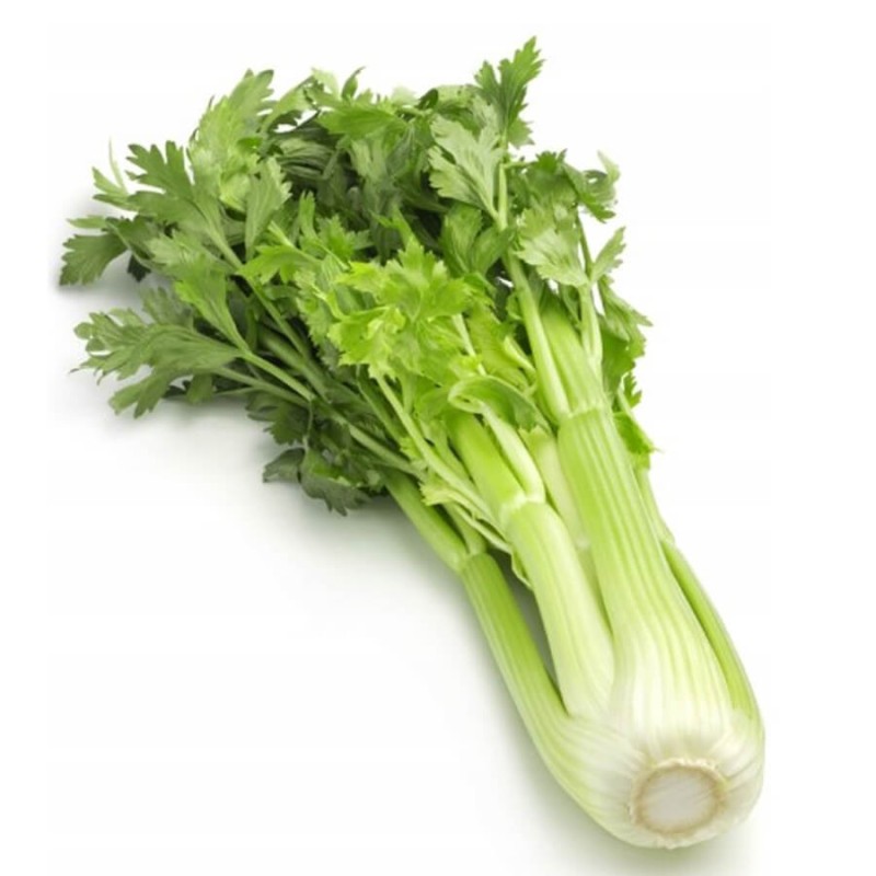 Seler naciowy GOLDGELBER nasiona (3).jpg