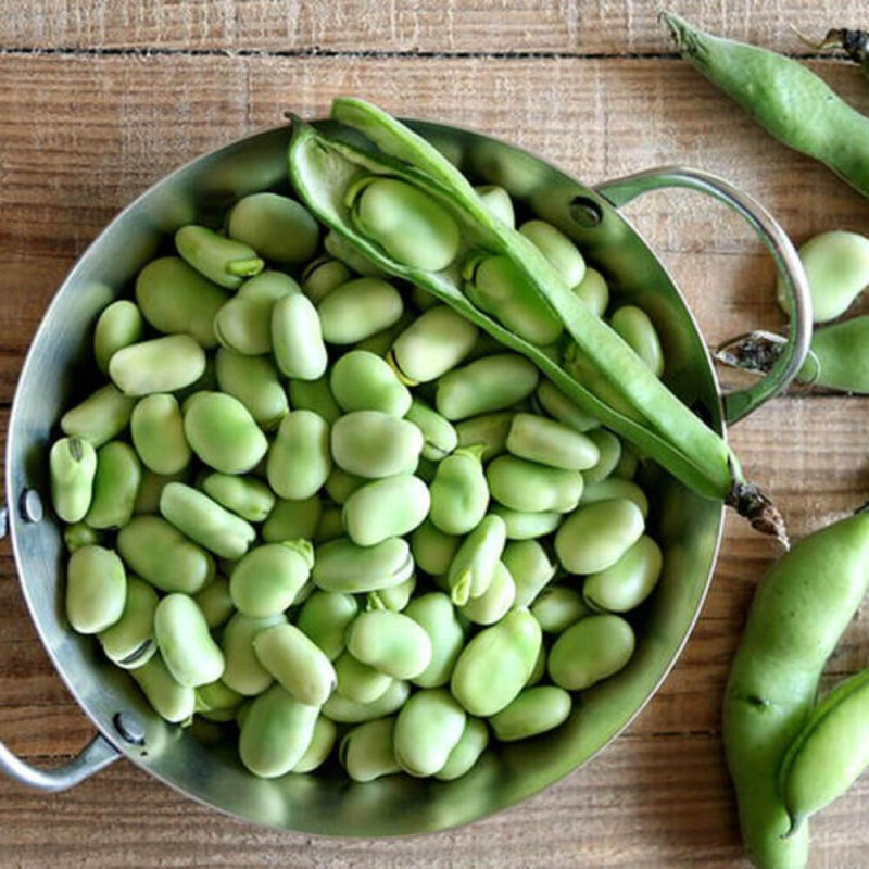 ekologiczne nasiona bobu.jpg