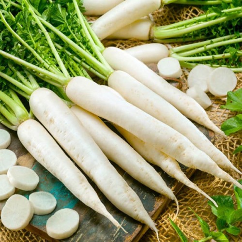 Rzodkiewka SOPEL LODU nasiona 5g