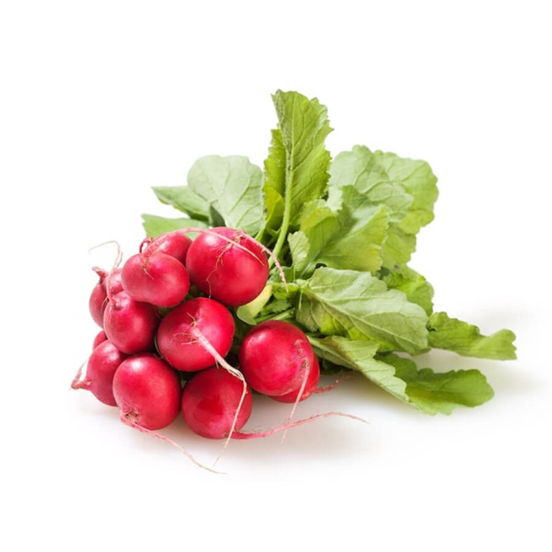 Rzodkiewka SAXA 2 nasiona XXL 500g (2)