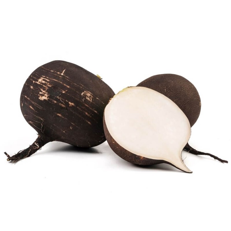 Rzodkiew zimowa RUNDER czarna nasiona (3).jpg