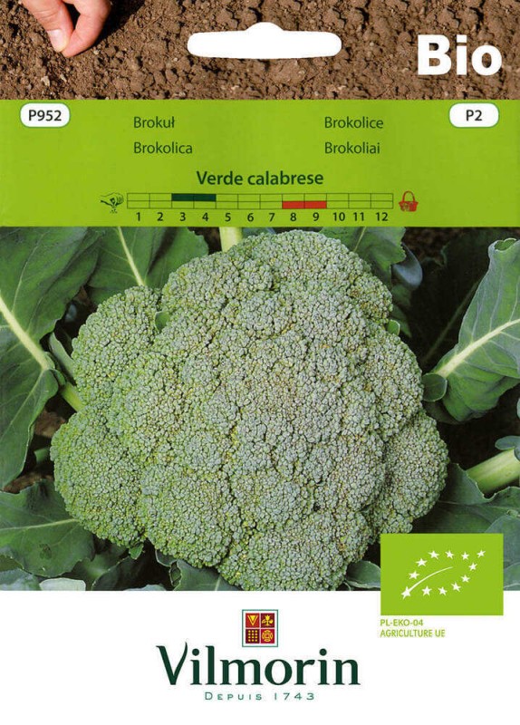 bio nasiona brokul.jpg