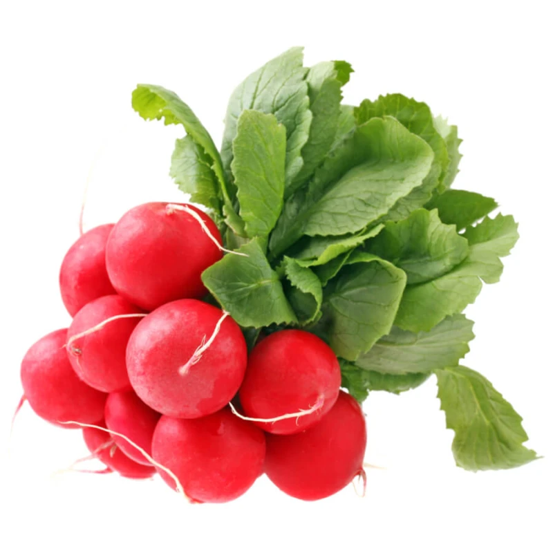 Rzodkiewka Cherry Belle  L 10g (2)