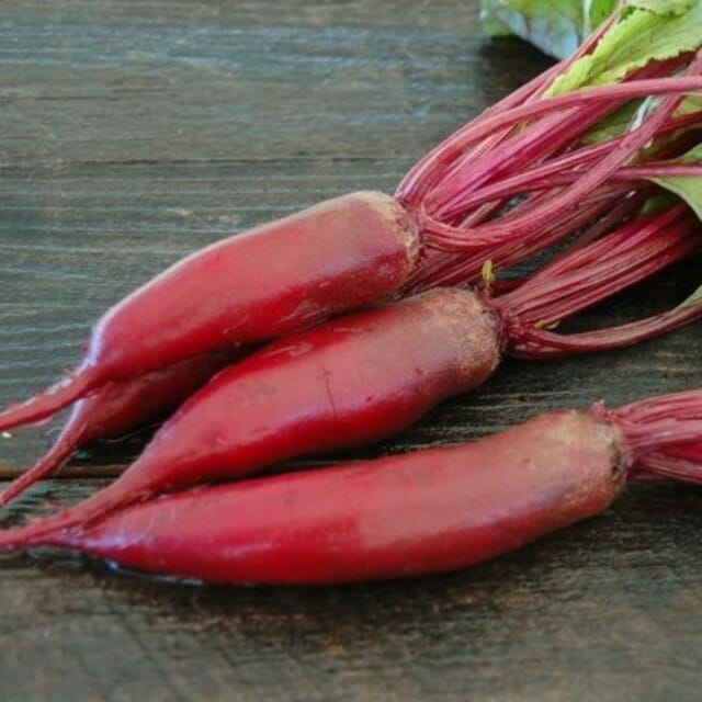 ekologiczne nasiona burak cylindra.jpg