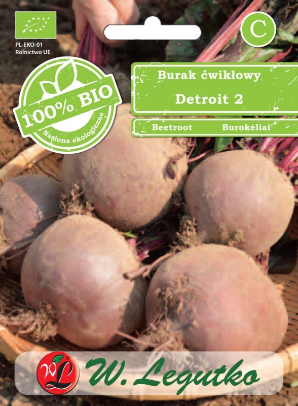 bio nasiona burak detroit.jpg