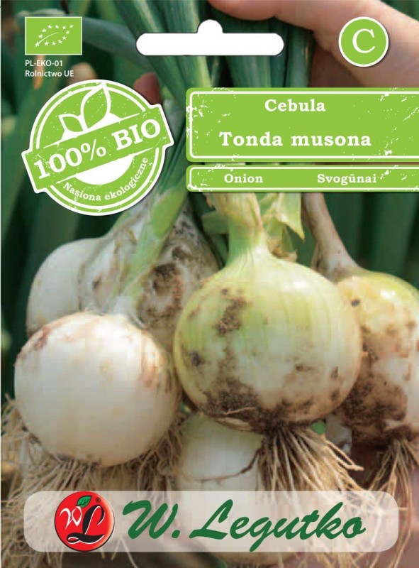 bio cebula tondo nasiona.jpg