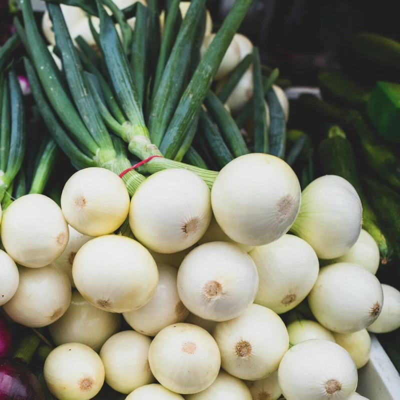 bio cebula biala nasiona.jpg