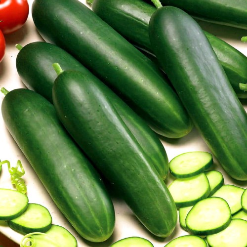 Ogórek DELICIUS gruntowy sałatkowy nasiona 5g