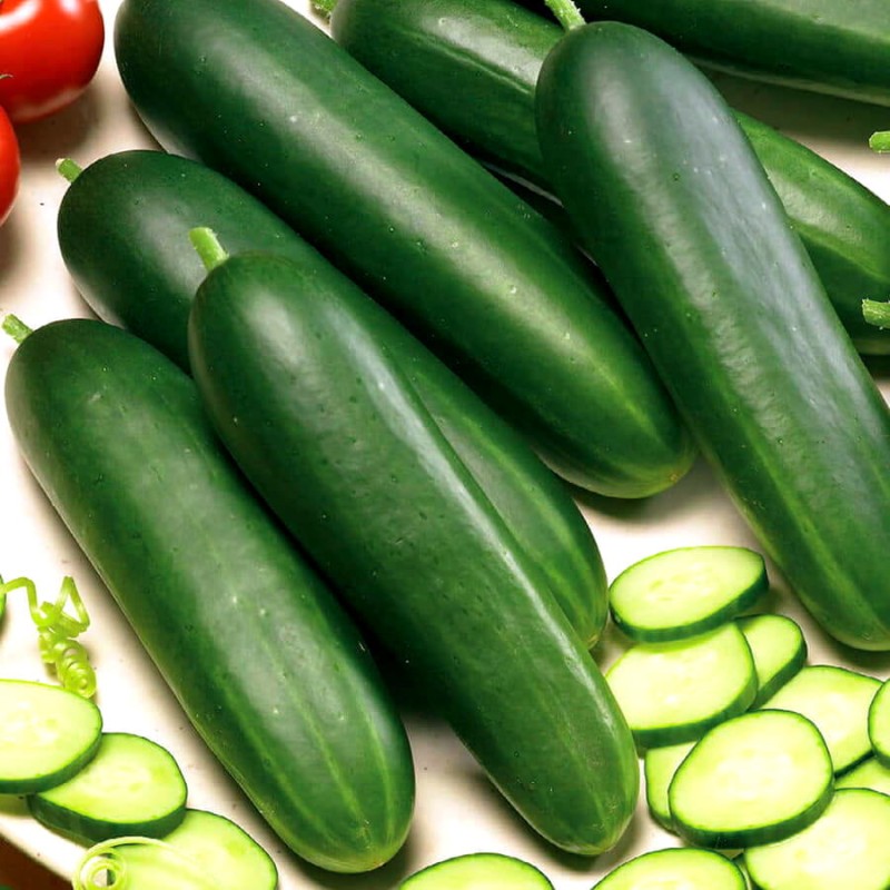 Ogórek DELICIUS Gruntowy Sałatkowy nasiona (2).jpg