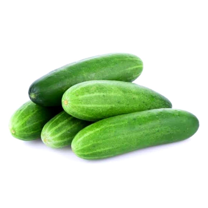 Ogórek DELICIUS Gruntowy Sałatkowy nasiona (1).jpg
