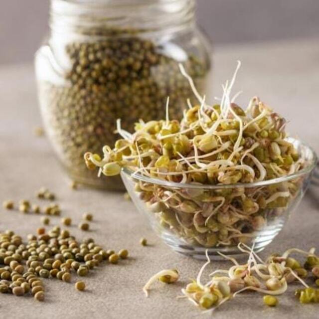 jak przyrządzić kiełki ciecierzycy.jpg