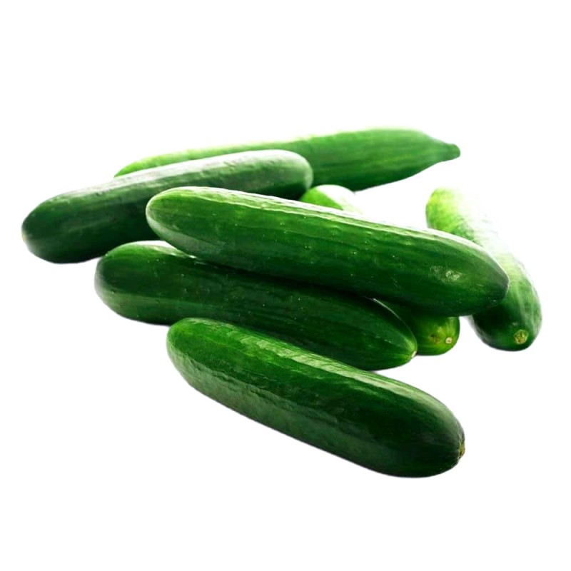 Ogórek długi tessa nasiona 50g (1).jpg