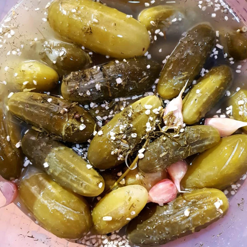 Ogórek JULIAN Gruntowy Do Kwaszenia (Cucumis s.) nasiona XL 100g  (1).jpg