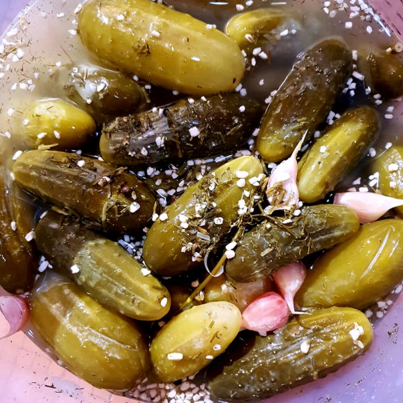 Ogórek JULIAN Do Kwaszenia (Cucumis sativus) nasiona XXL 500g  (3).jpg