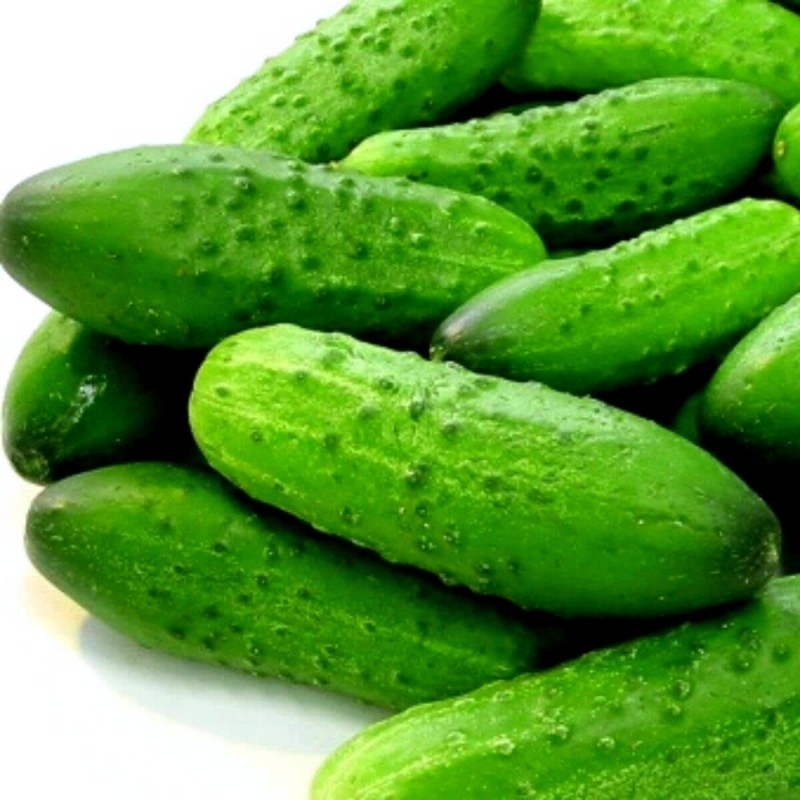 Ogórek HERMES SKIERNIEWICKI nasiona 100g  (1).jpg