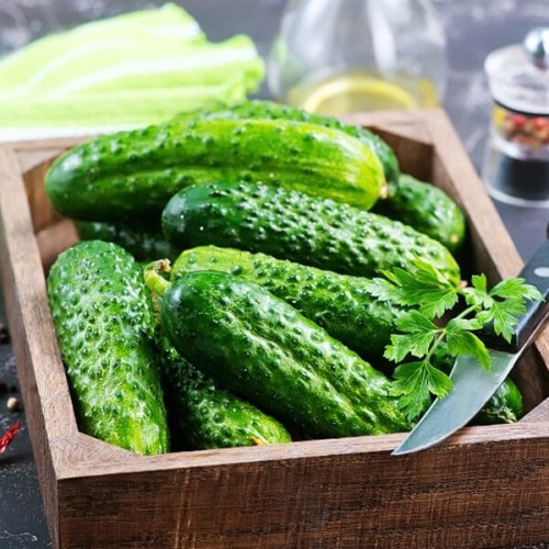 Ogórek IZYD gruntowy konserwowy nasiona 5g