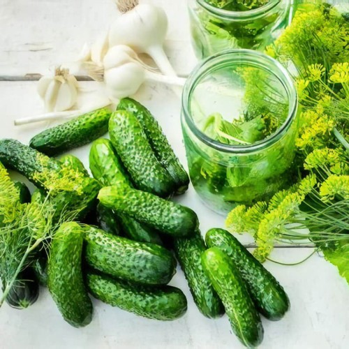 Ogórek gruntowy konserwowy IZYD nasiona XXL 500g