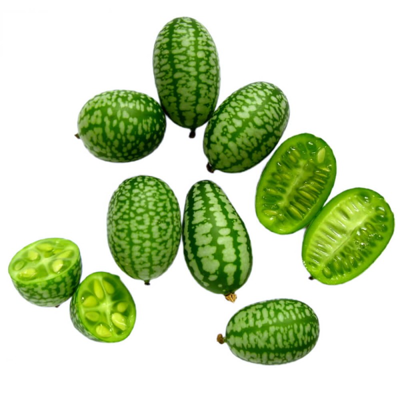 Ogórek MEKSYKAŃSKI OZDOBNY nasiona (1).jpg