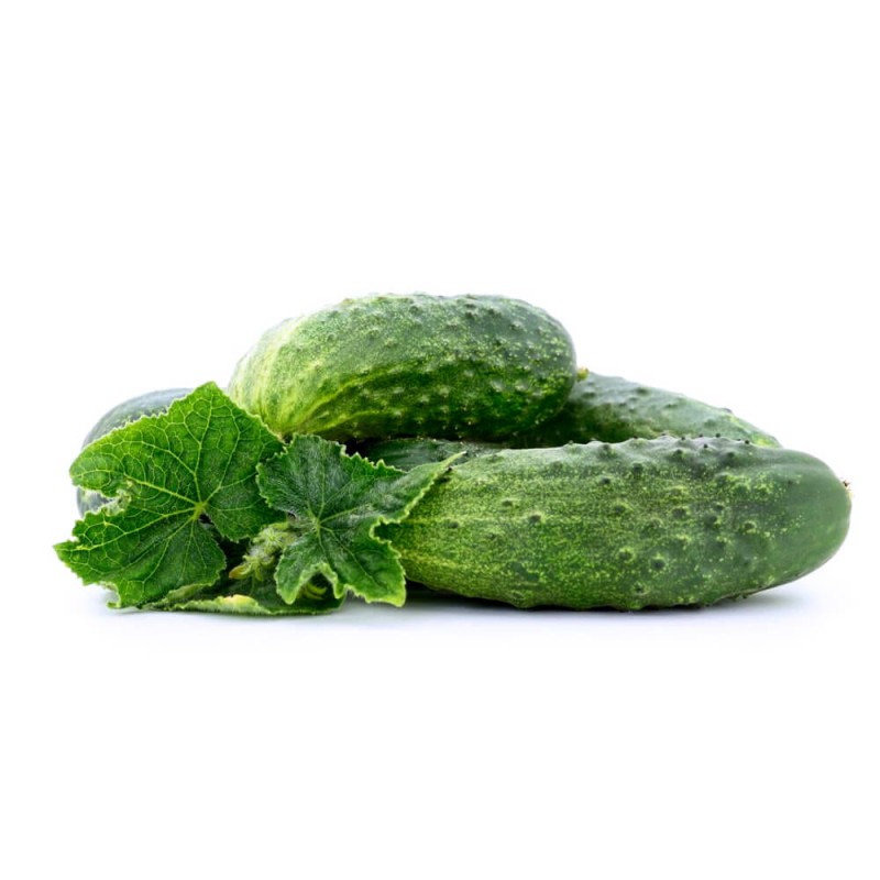Ogórek ODYS nasiona (3).jpg