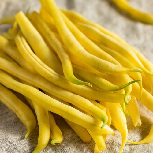 BIO Fasola szparagowa karłowa BERGGOLD żółta nasiona ekologiczne 30g