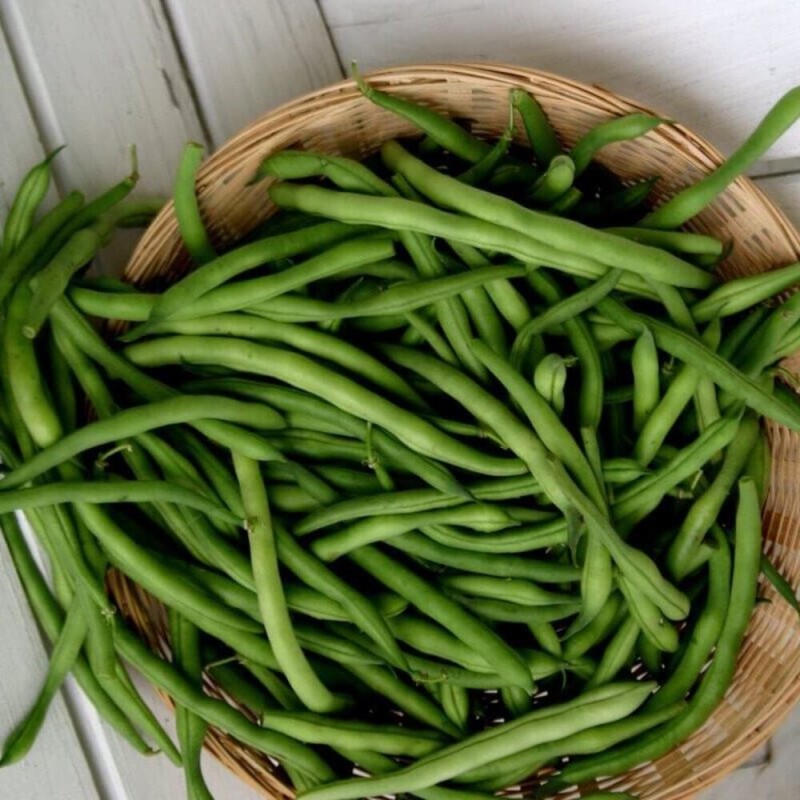 ekologiczne nasiona fasola szparagowa slenderette.jpg