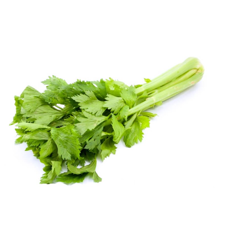 Seler Listkowy GREEN CUTTING nasiona (2).jpg